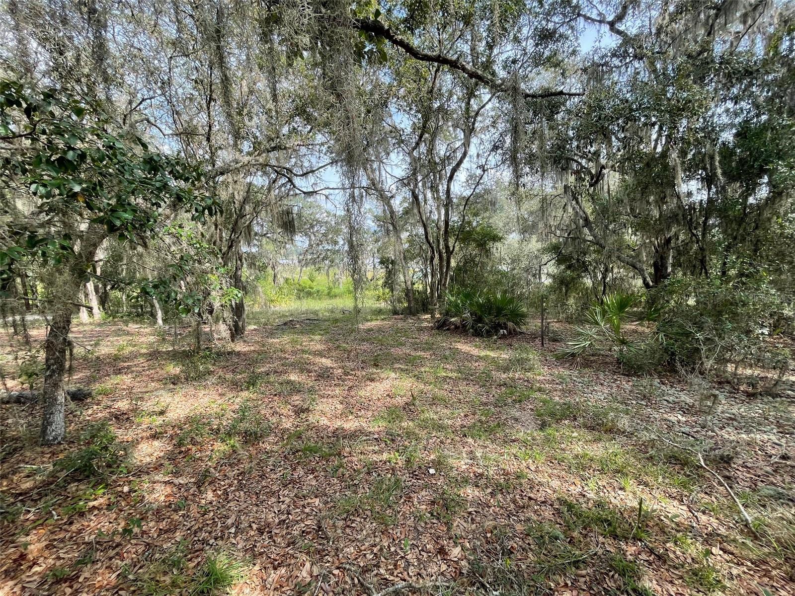 LOTS 462 & 463 SW SHOREWOOD DR, DUNNELLON, FL — photo 4