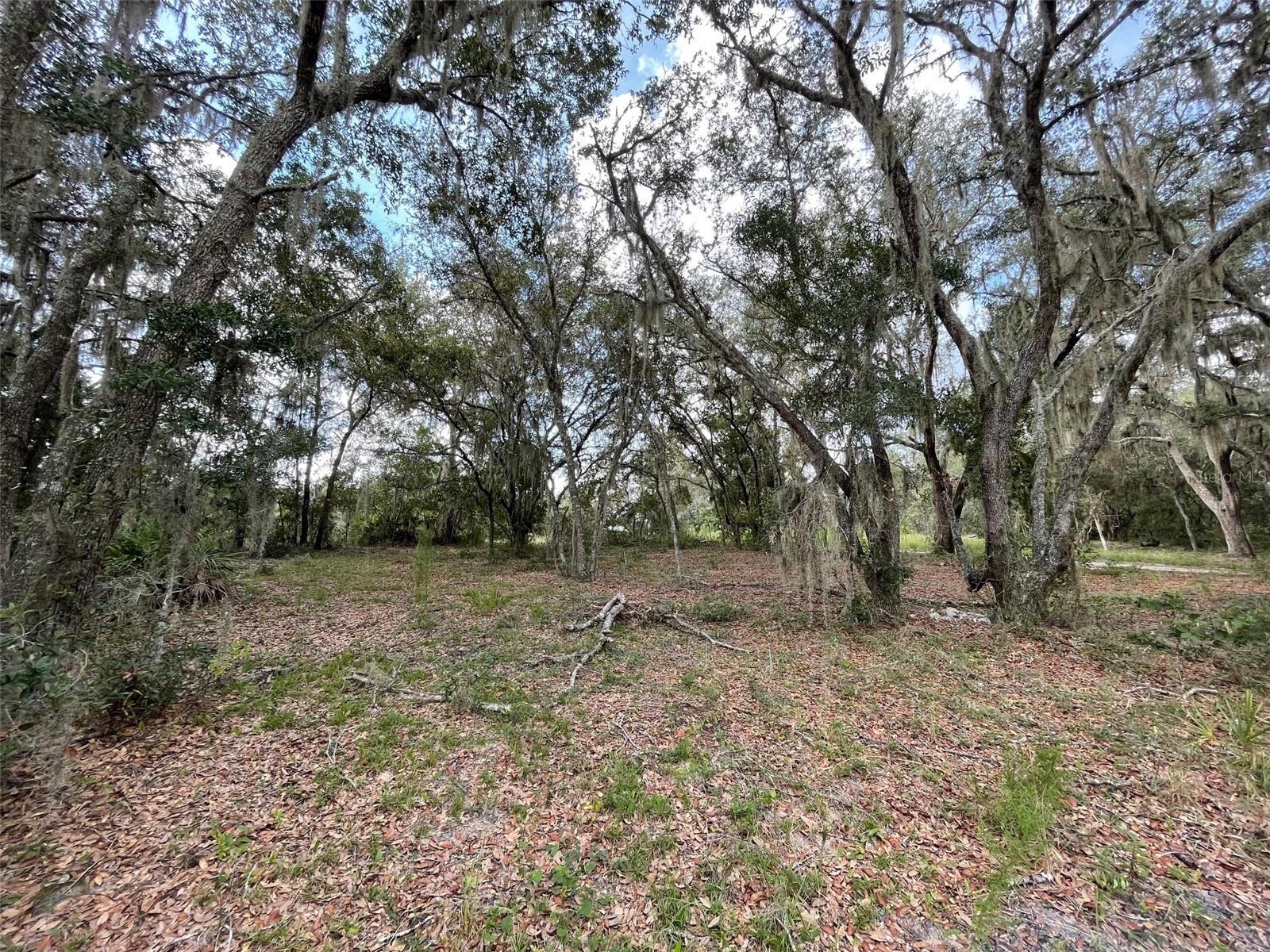 LOTS 462 & 463 SW SHOREWOOD DR, DUNNELLON, FL — photo 5