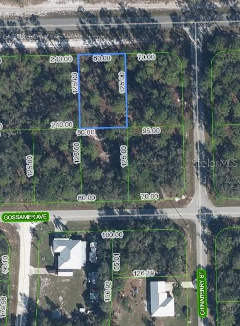 3226 LAKE JUNE BLVD, LAKE PLACID, FL