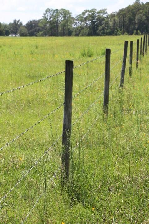 GREEN SWAMP RD, CLERMONT, FL — photo 7