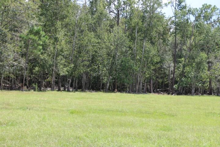 GREEN SWAMP RD, CLERMONT, FL — photo 19