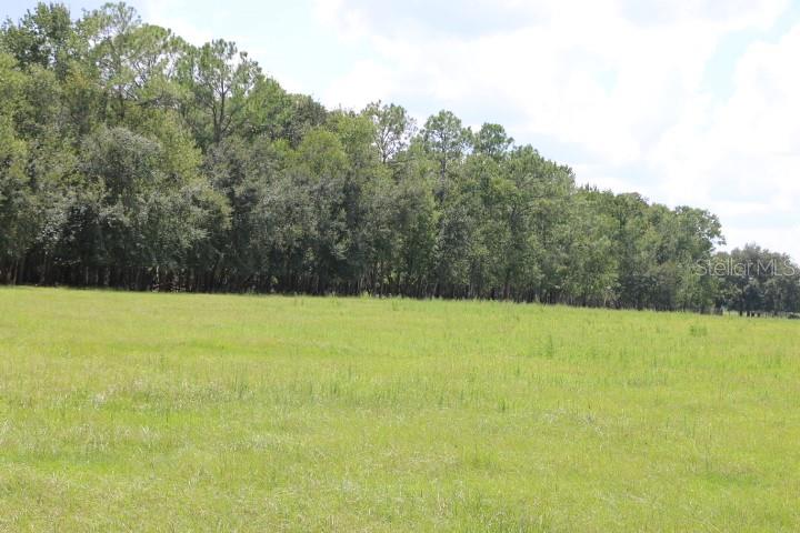 GREEN SWAMP RD, CLERMONT, FL