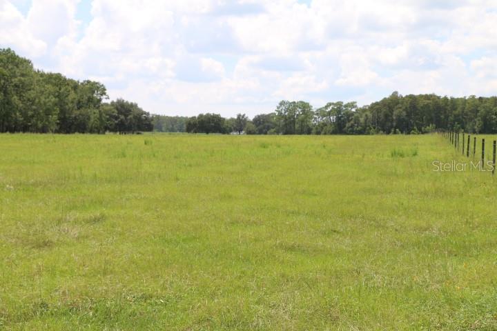 GREEN SWAMP RD, CLERMONT, FL — photo 5