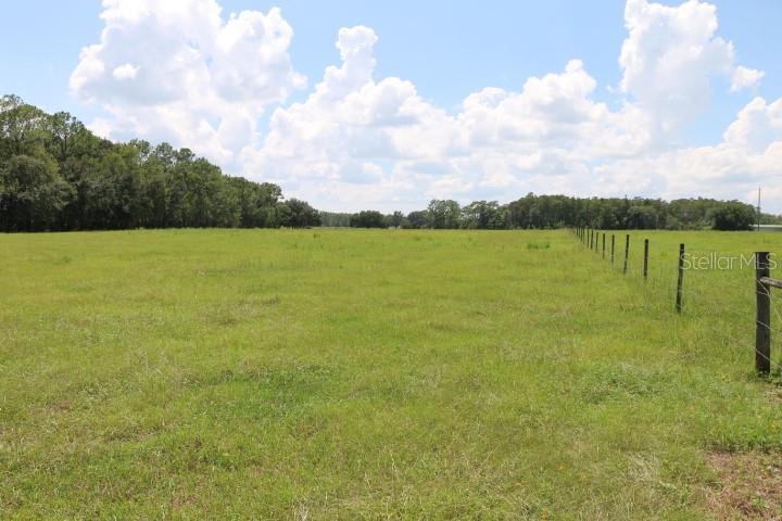 GREEN SWAMP RD, CLERMONT, FL — photo 22