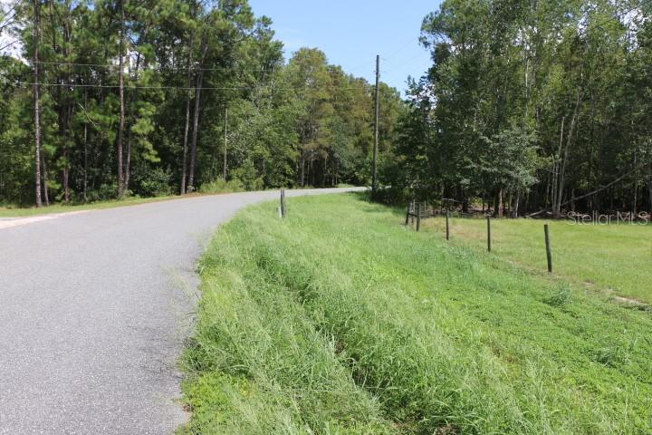 GREEN SWAMP RD, CLERMONT, FL — photo 10