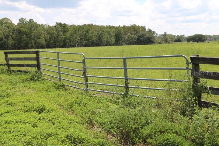 GREEN SWAMP RD, CLERMONT, FL — photo 32