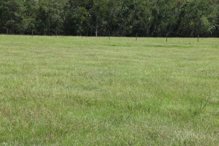 GREEN SWAMP RD, CLERMONT, FL — photo 35