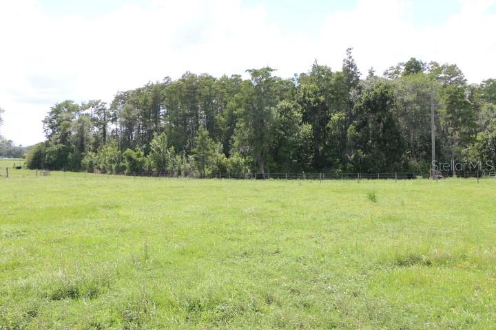 GREEN SWAMP RD, CLERMONT, FL — photo 43