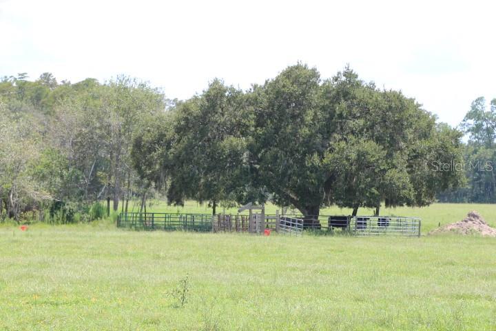 GREEN SWAMP RD, CLERMONT, FL — photo 48