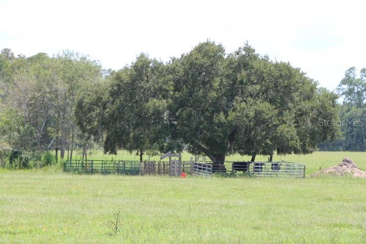 GREEN SWAMP RD, CLERMONT, FL — photo 50