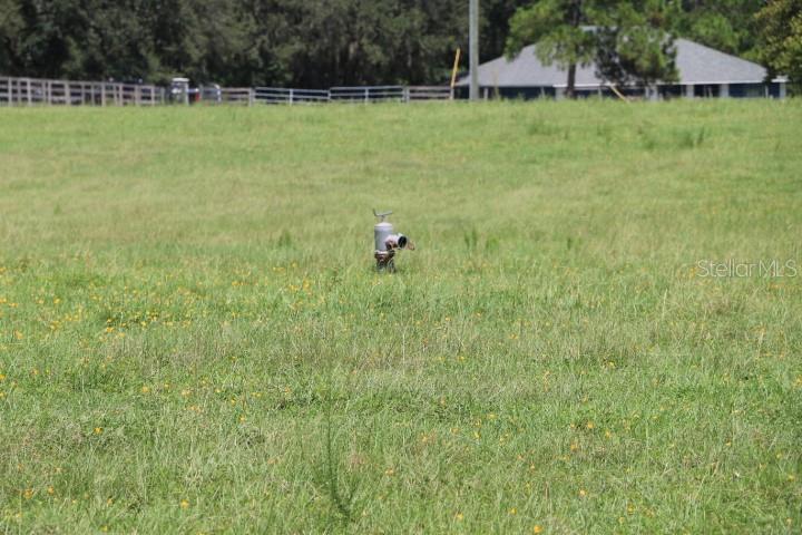 GREEN SWAMP RD, CLERMONT, FL — photo 52