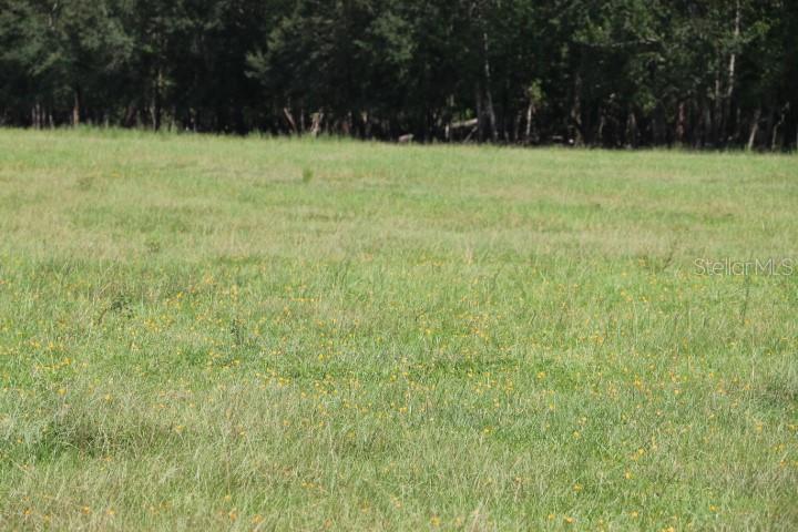 GREEN SWAMP RD, CLERMONT, FL — photo 53