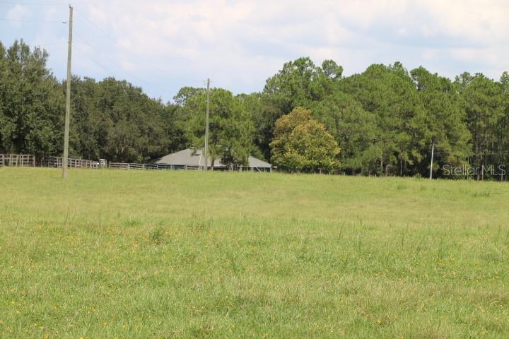 GREEN SWAMP RD, CLERMONT, FL — photo 57