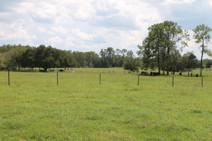 GREEN SWAMP RD, CLERMONT, FL — photo 60
