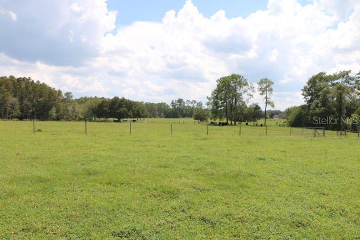 GREEN SWAMP RD, CLERMONT, FL — photo 61