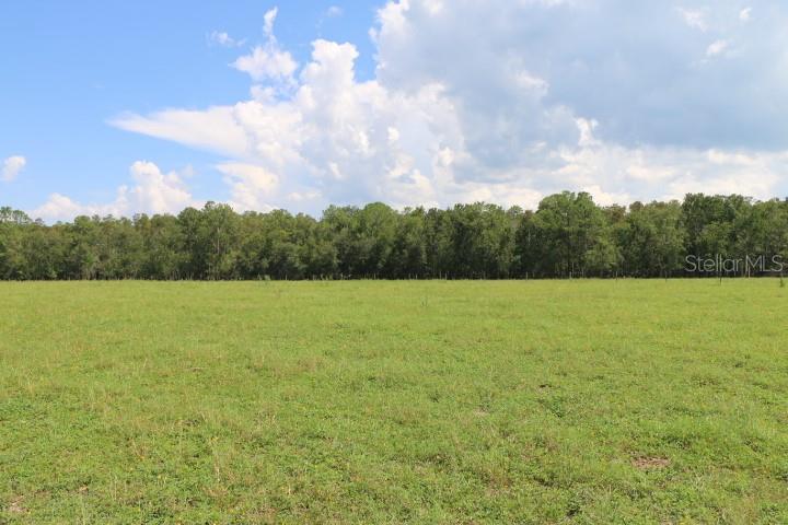 GREEN SWAMP RD, CLERMONT, FL — photo 69