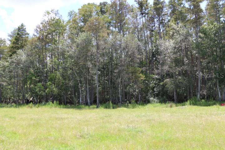 GREEN SWAMP RD, CLERMONT, FL — photo 88