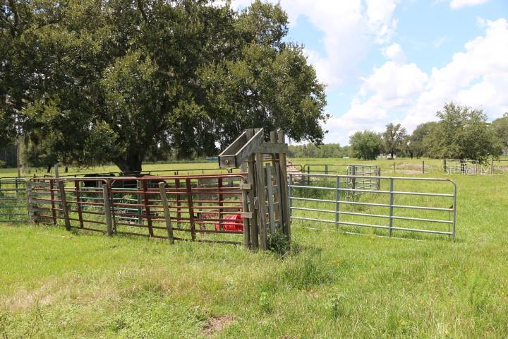 GREEN SWAMP RD, CLERMONT, FL — photo 92