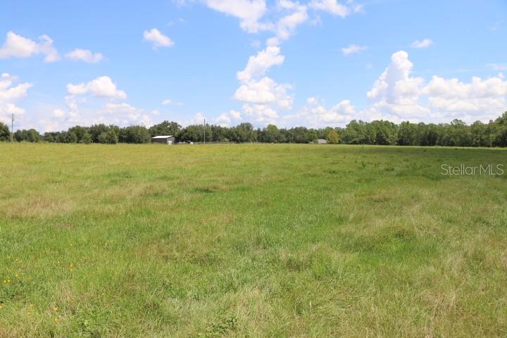 GREEN SWAMP RD, CLERMONT, FL — photo 97