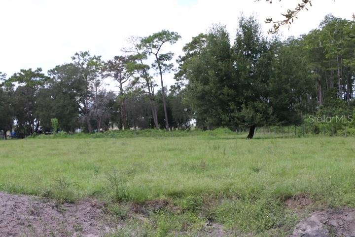 GREEN SWAMP RD, CLERMONT, FL — photo 104