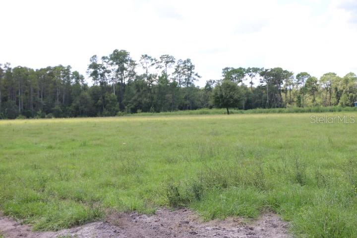 GREEN SWAMP RD, CLERMONT, FL — photo 105