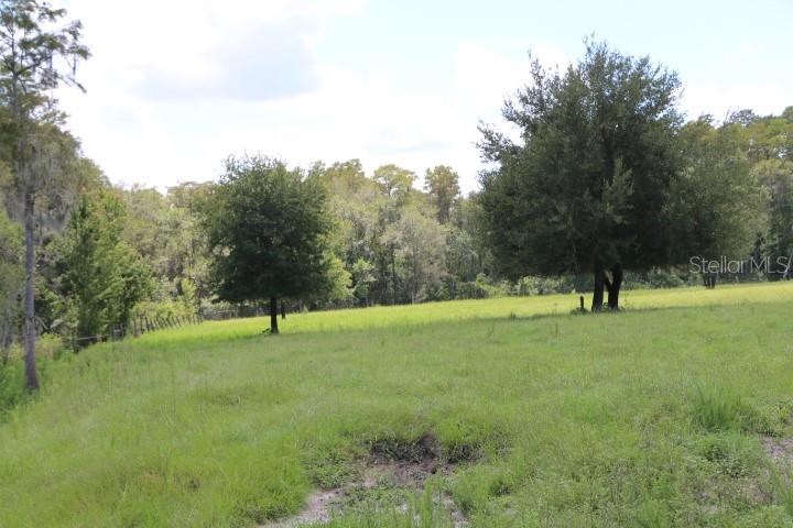 GREEN SWAMP RD, CLERMONT, FL — photo 109