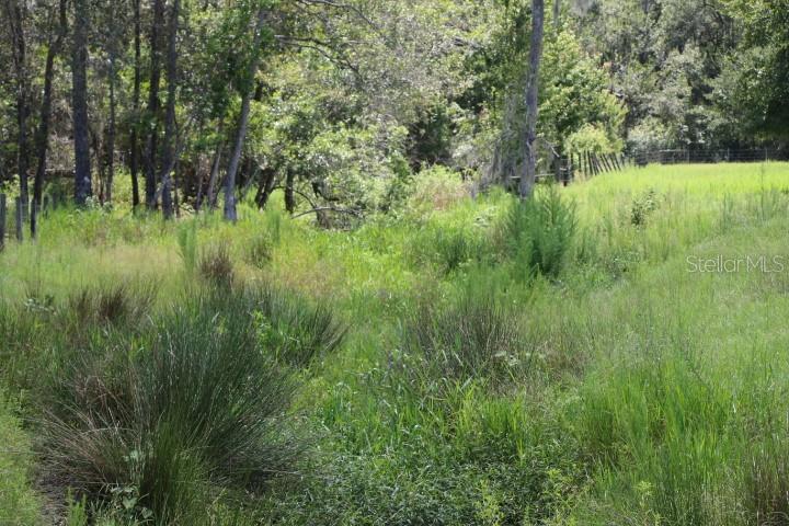 GREEN SWAMP RD, CLERMONT, FL — photo 112