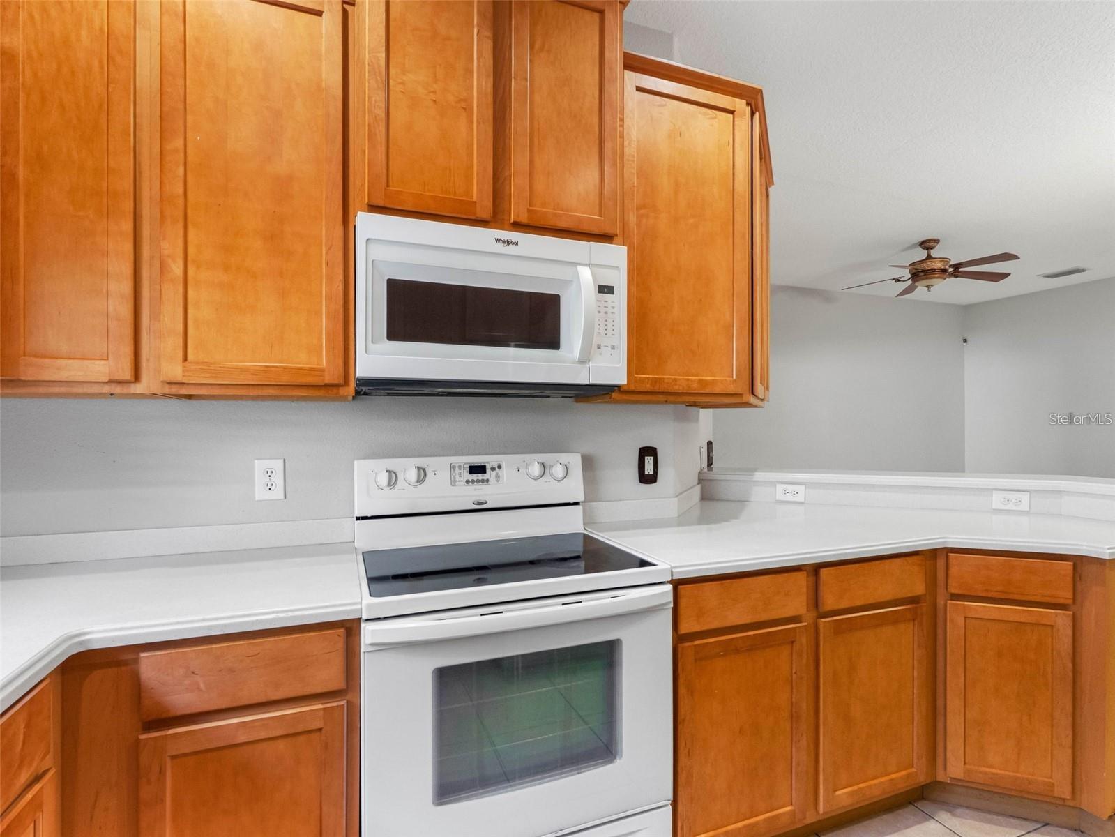 12820 BELVEDERE SONG WAY, RIVERVIEW, FL — photo 8