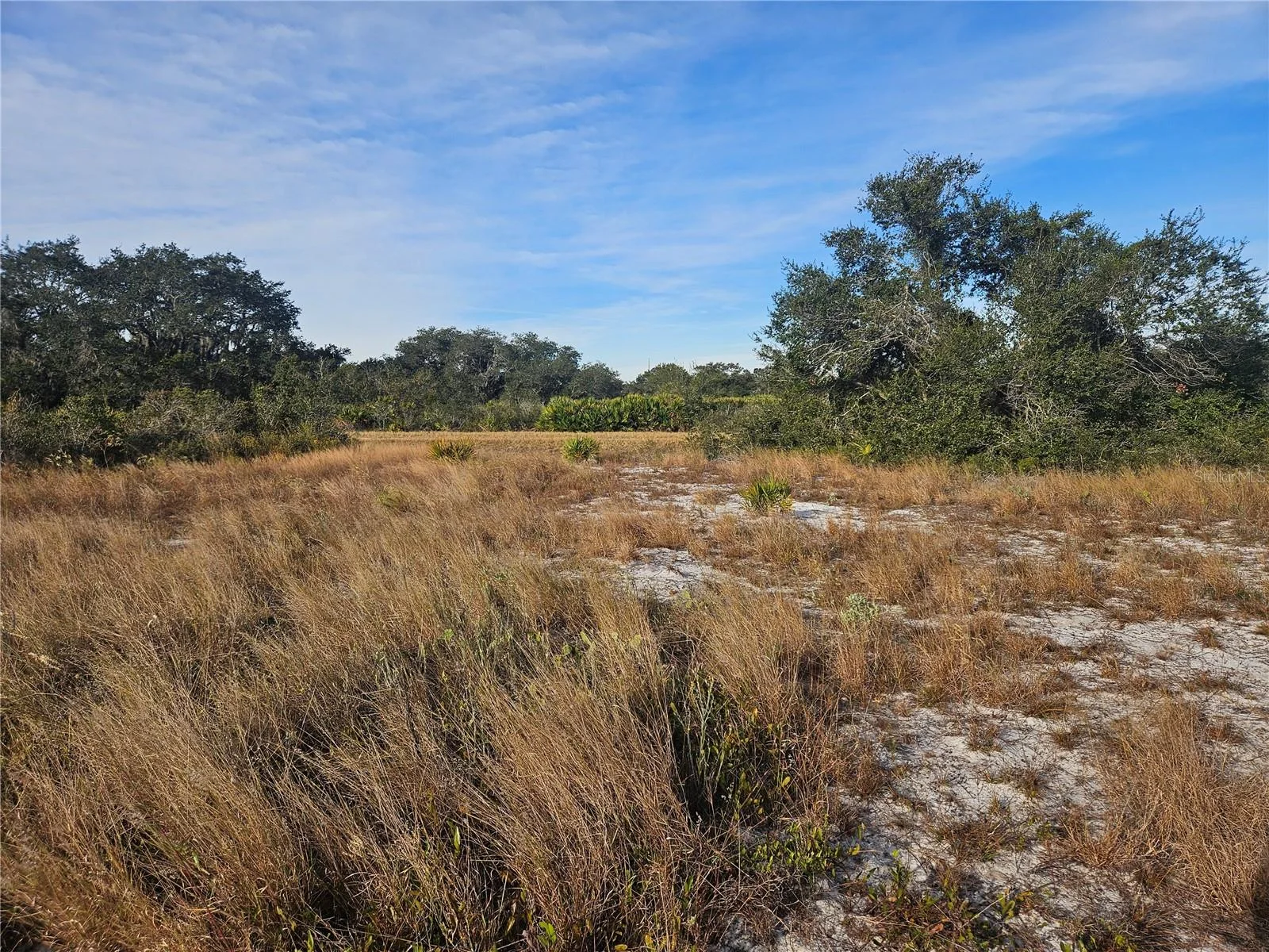 625 S REED RD, AVON PARK, FL — photo 4