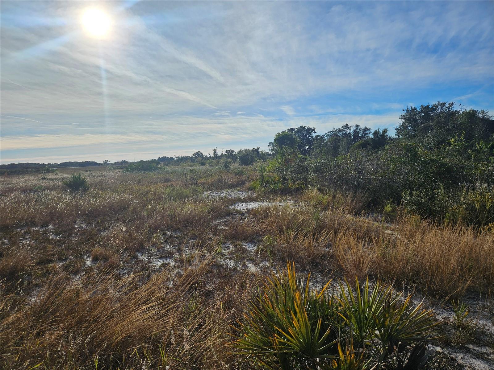625 S REED RD, AVON PARK, FL — photo 7