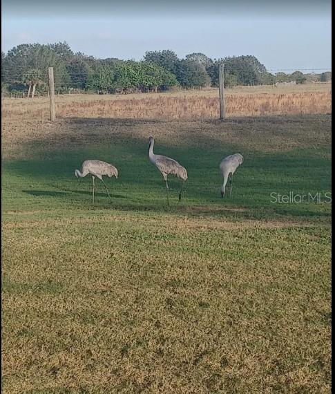 625 S REED RD, AVON PARK, FL — photo 17