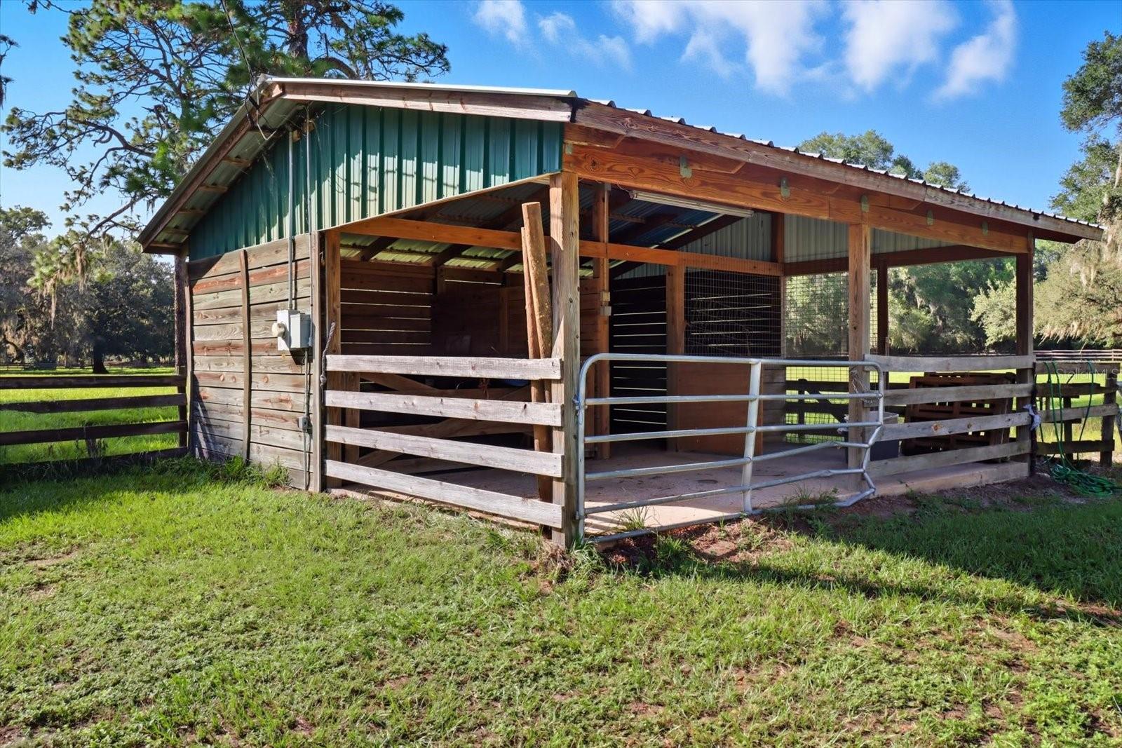 12550 SW 16TH AVE, OCALA, FL — photo 13