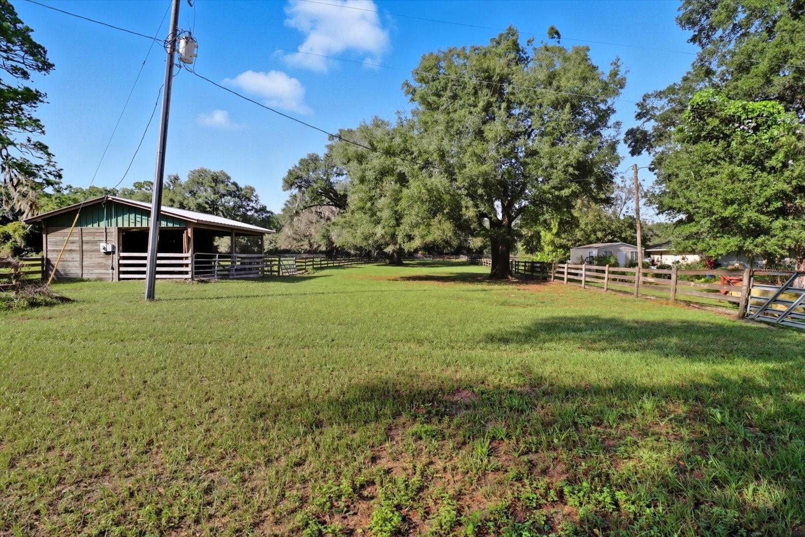 12550 SW 16TH AVE, OCALA, FL — photo 72