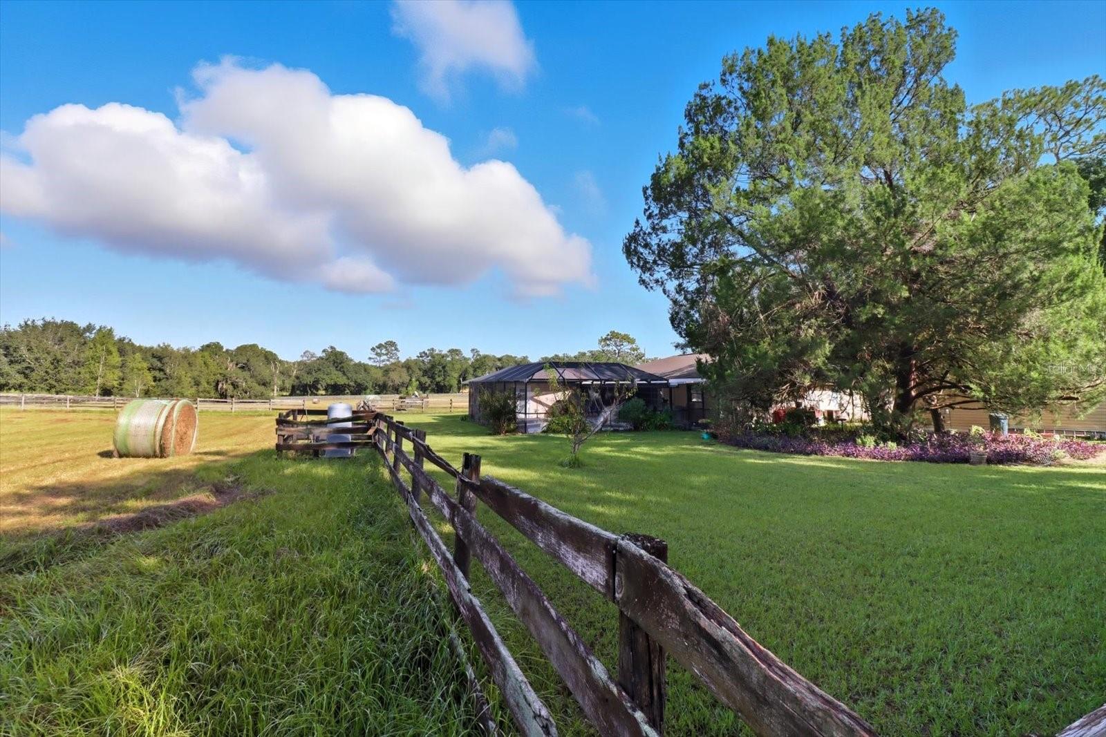 12550 SW 16TH AVE, OCALA, FL — photo 75