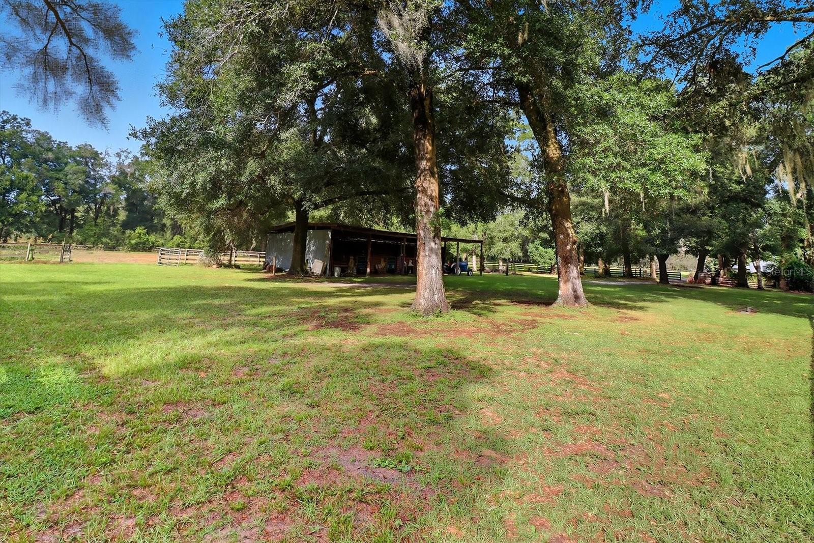 12550 SW 16TH AVE, OCALA, FL — photo 87