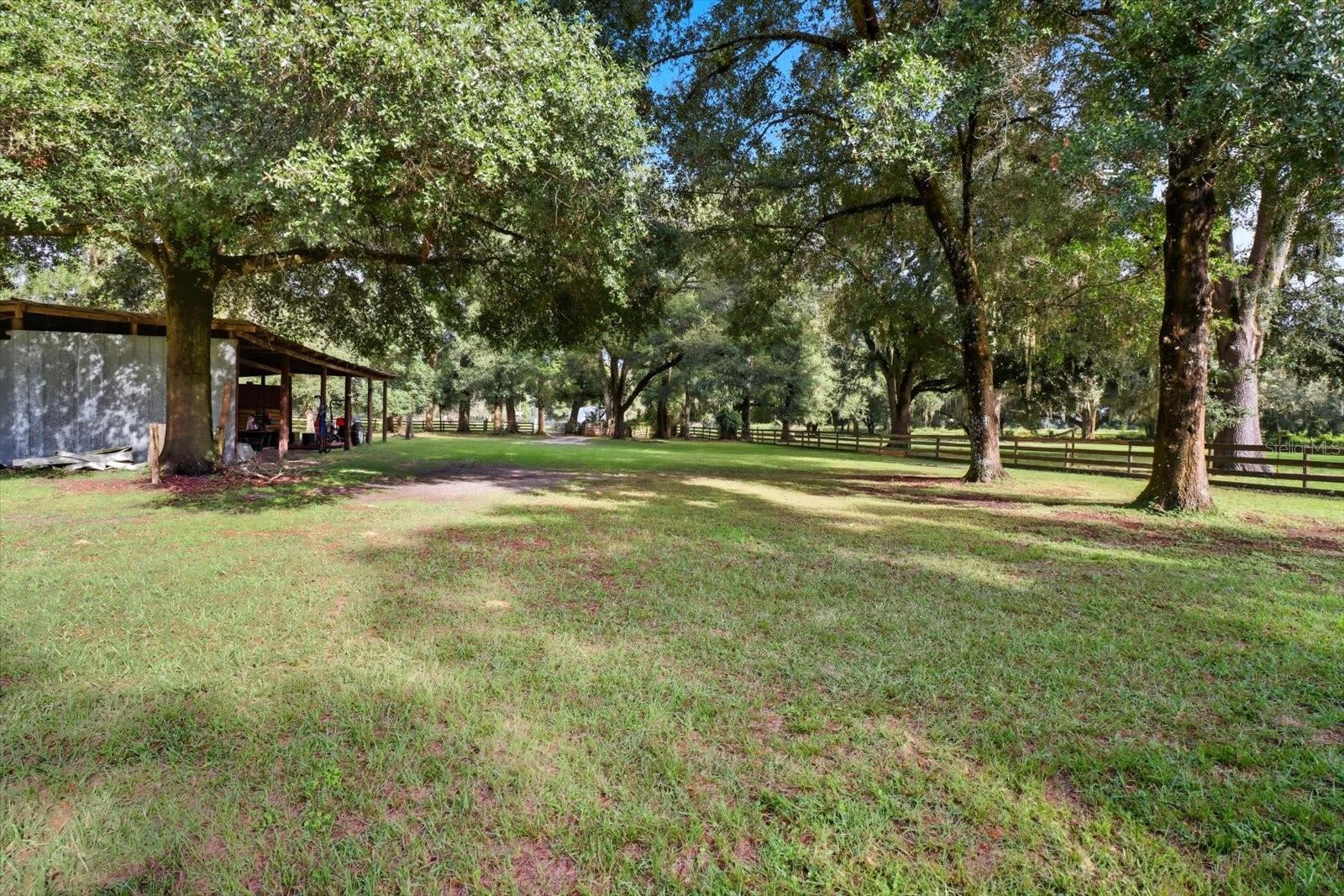 12550 SW 16TH AVE, OCALA, FL — photo 93