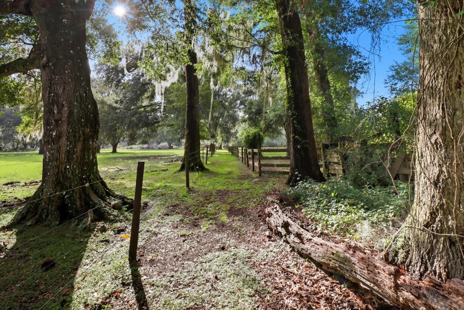 12550 SW 16TH AVE, OCALA, FL — photo 96