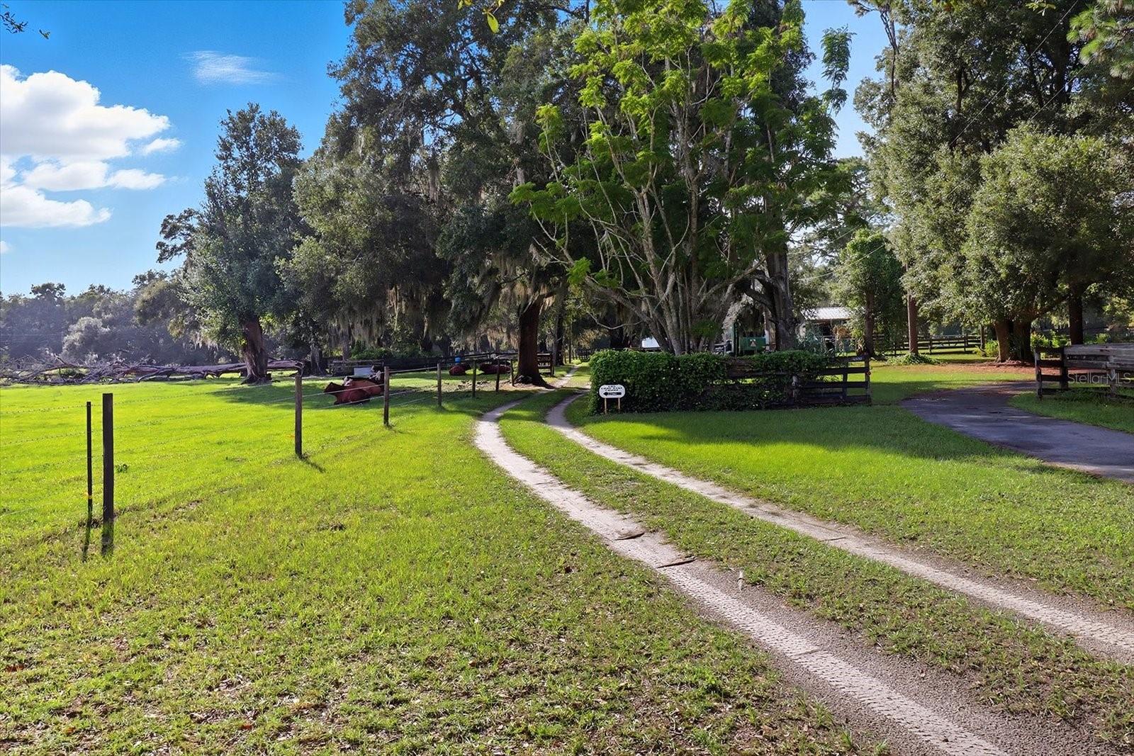 12550 SW 16TH AVE, OCALA, FL — photo 99