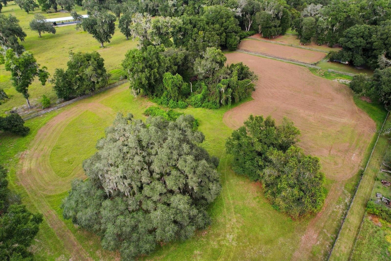 12550 SW 16TH AVE, OCALA, FL — photo 113