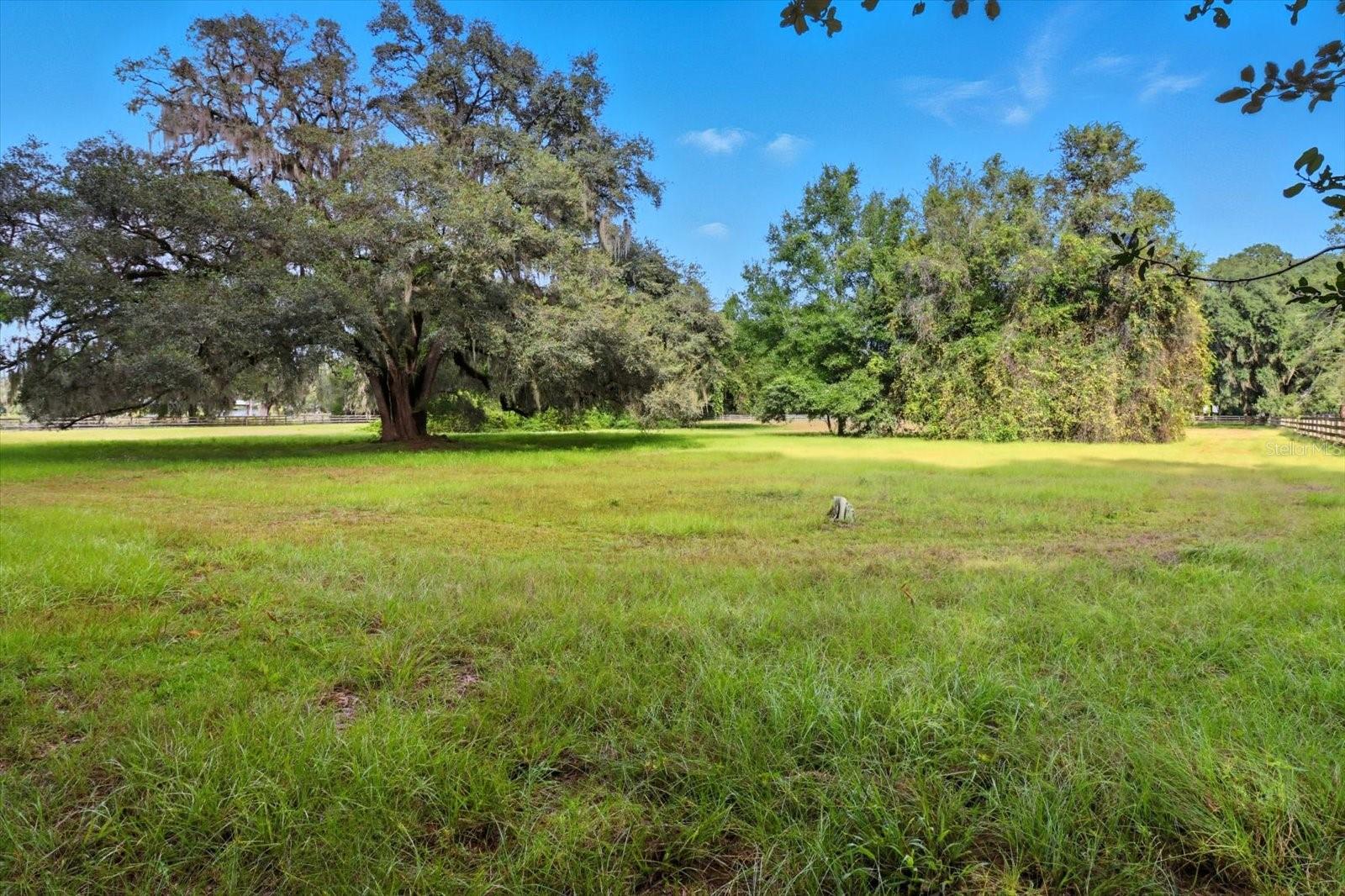12550 SW 16TH AVE, OCALA, FL — photo 49