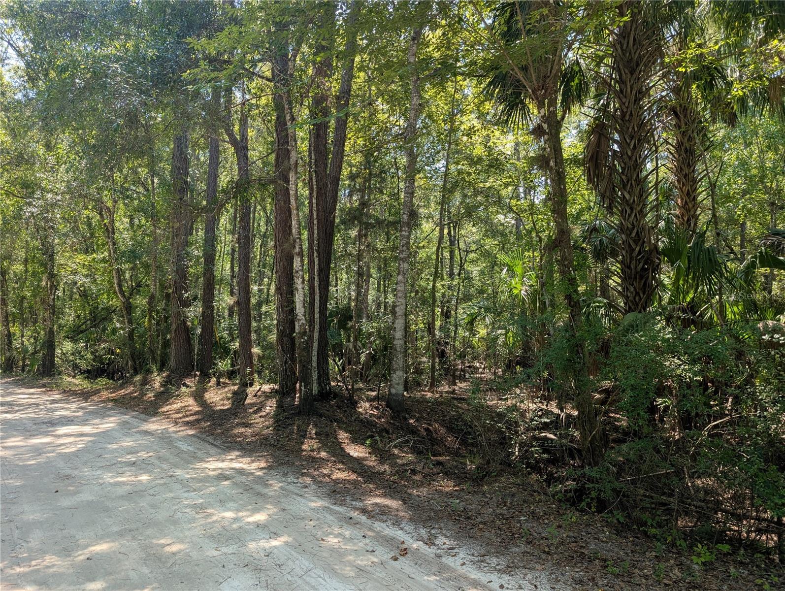6252 E RIVER RD, HERNANDO, FL