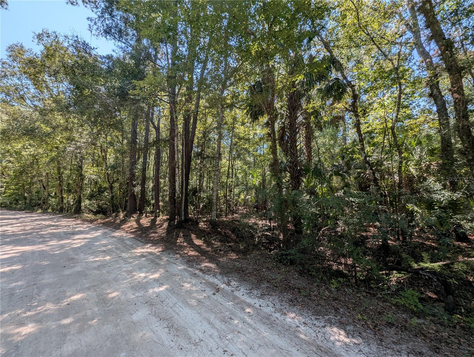 6252 E RIVER RD, HERNANDO, FL — photo 2