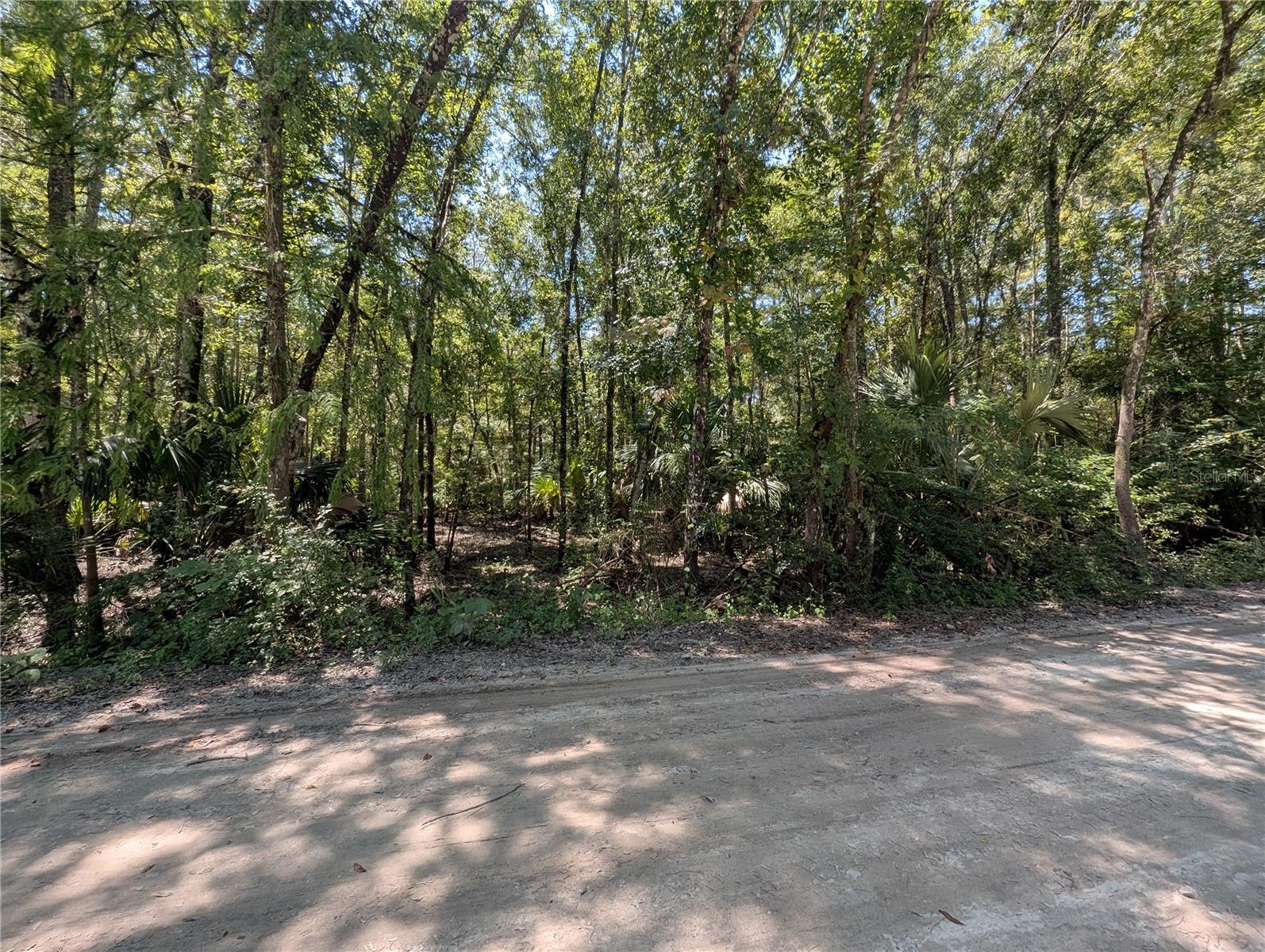 6252 E RIVER RD, HERNANDO, FL — photo 3