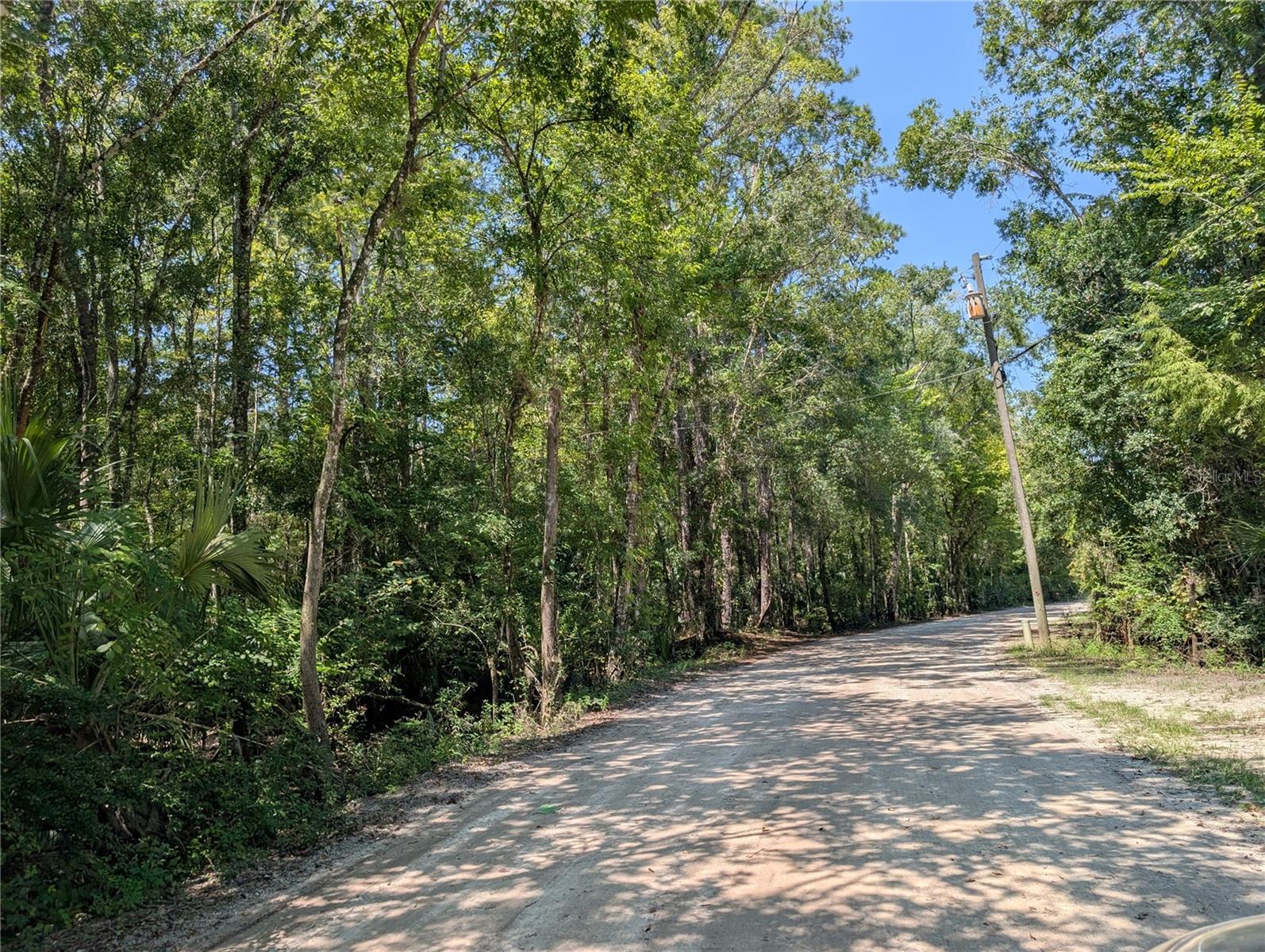 6252 E RIVER RD, HERNANDO, FL — photo 4