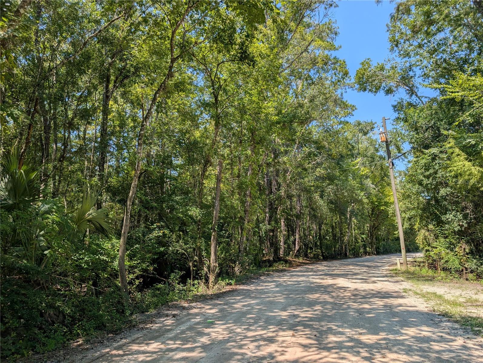 6252 E RIVER RD, HERNANDO, FL — photo 5