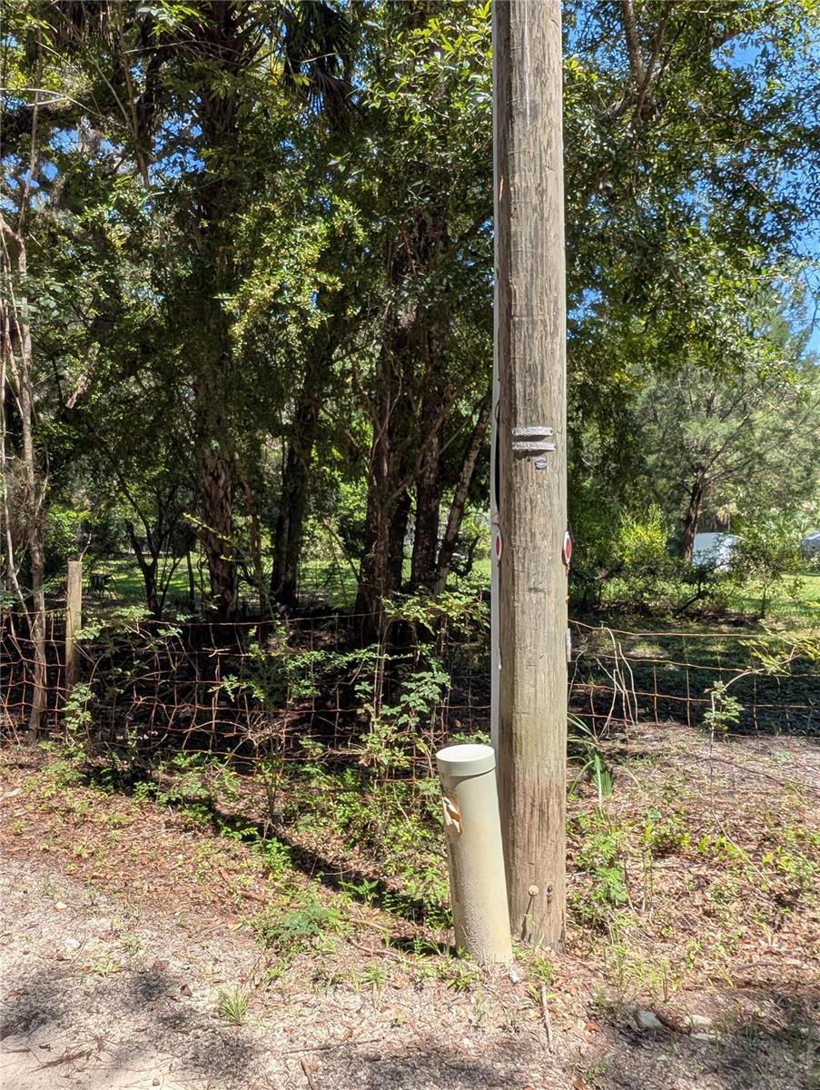 6252 E RIVER RD, HERNANDO, FL — photo 6