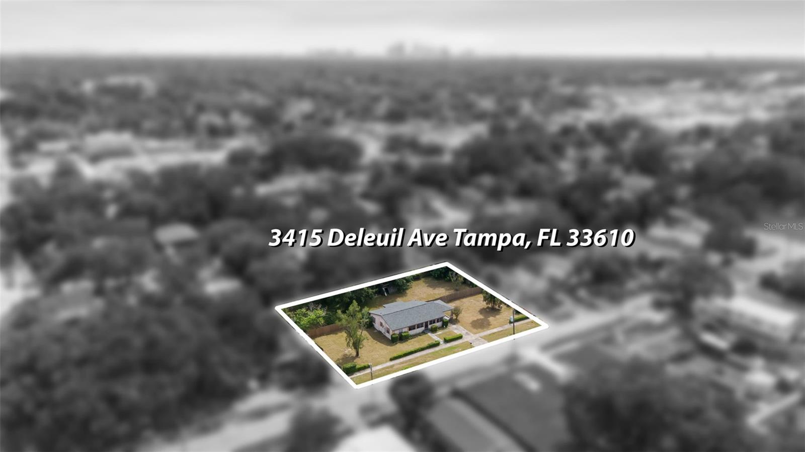 3415 DELEUIL AVE, TAMPA, FL — photo 19