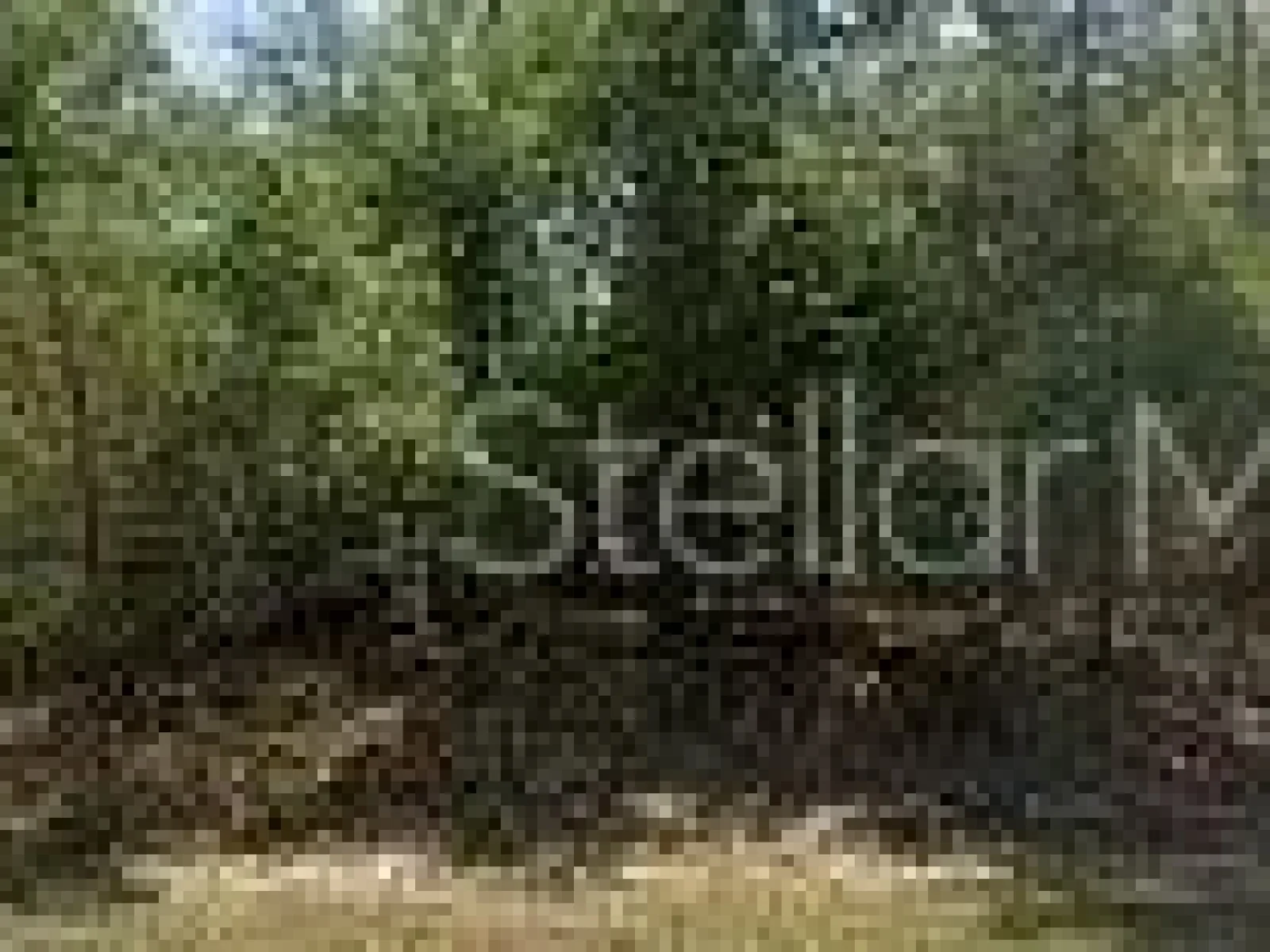 8545 N WALLINGFORD AVE, DUNNELLON, FL — photo 1