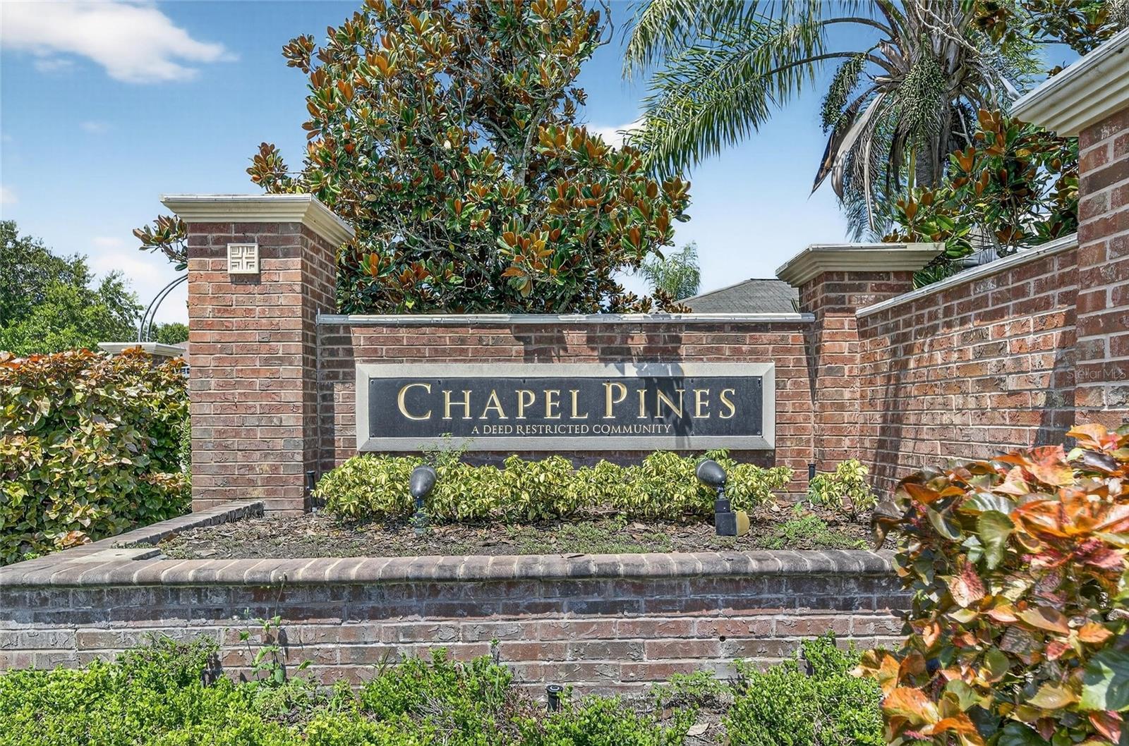 6510 TABOGI TRL, WESLEY CHAPEL, FL — photo 38