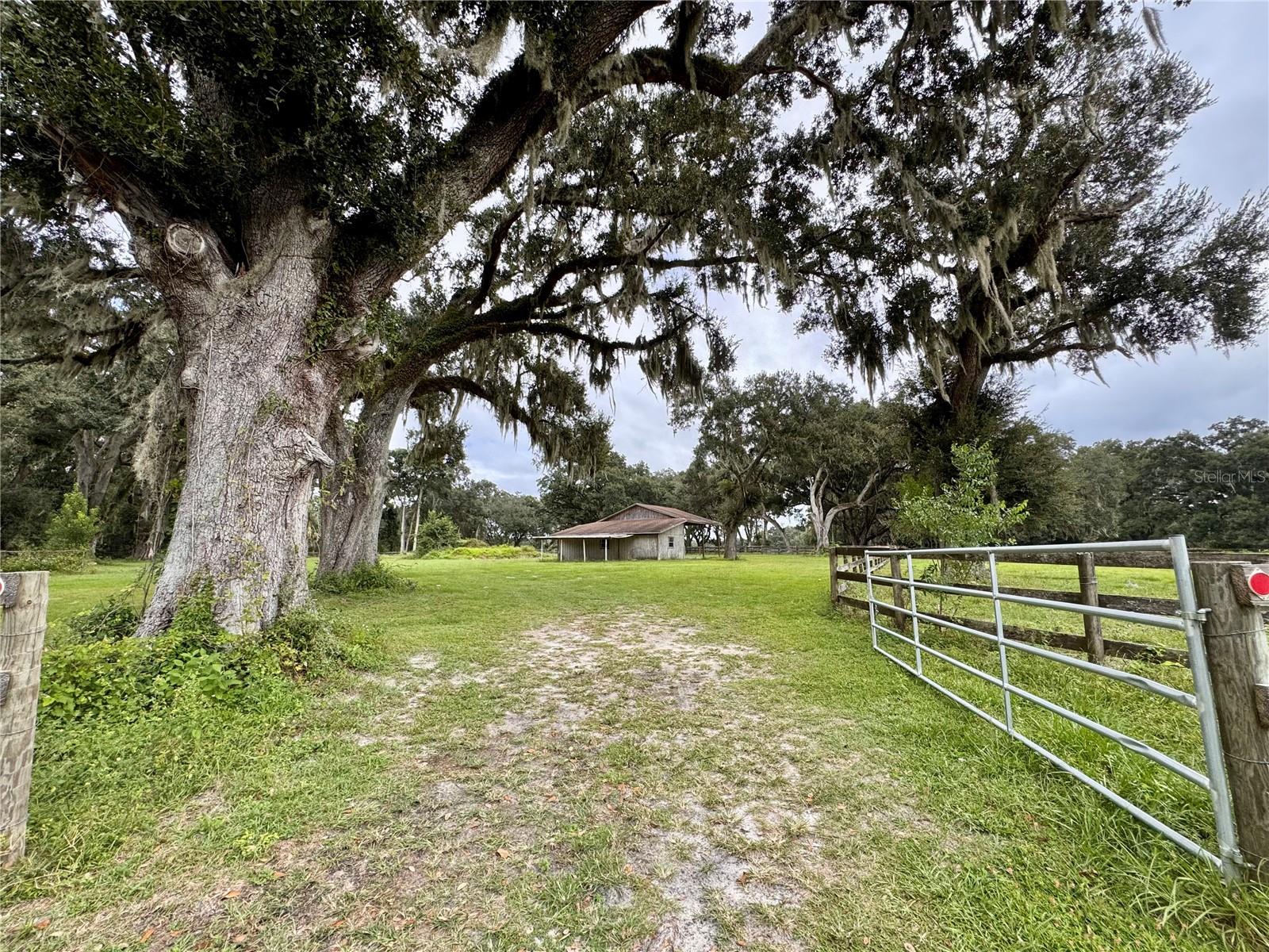 553 NE 205TH AVE, WILLISTON, FL — photo 49